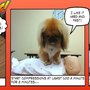 Photo of HeartStart Skills