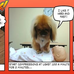 HeartStart Skills - Low Stress Environment!!