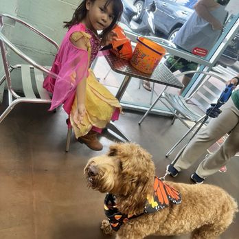 Kailua Town Center - Made a stop to say hi to the local puppies - Shopping Centers Near Me - Kailua, Hawaii