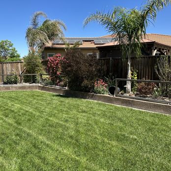 Cruz & Co Landscape - Landscaping Near Me Cruz & Co Landscape - Landscaping Near Me