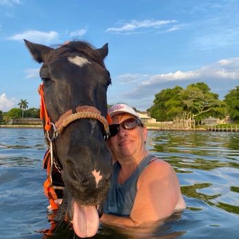 Florida Beach Horses - Beaches Near Me - Bradenton, Florida