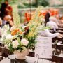Photo of Bloom Line Flowers