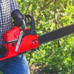 J & L Tree Service - It may be that you do not have to have a tree removed, or that you do but just not the one you thought...