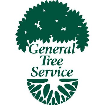 General Tree Service - General Tree Service in Portland, Or - Tree Services Near Me - Portland, Oregon
