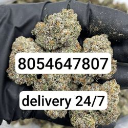 Medical Marijuana Card Club