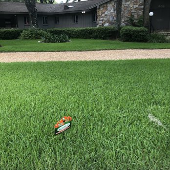 Morgan's Horticultural Services - Pest Control Near Me - Tampa, Florida Morgan's Horticultural Services - Pest Control Near Me - Tampa, Florida