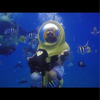 Bob's Hawaii Adventure - Tours Near Me - Honolulu, Hawaii