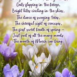 City of Canton - Good morning a HELLO MARCH Wishing everyone a wonderful new month filled with new possibilities and lovely moments