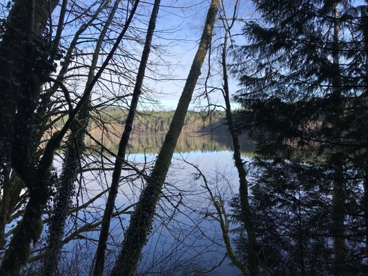 Lake Padden Park by null