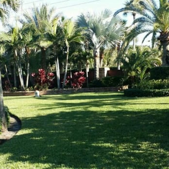 Reel Time Lawncare - palm trees and lawn - Lawn Services Near Me - Melbourne, Florida Reel Time Lawncare - palm trees and lawn - Lawn Services Near Me - Melbourne, Florida