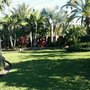 Photo of Reel Time Lawncare