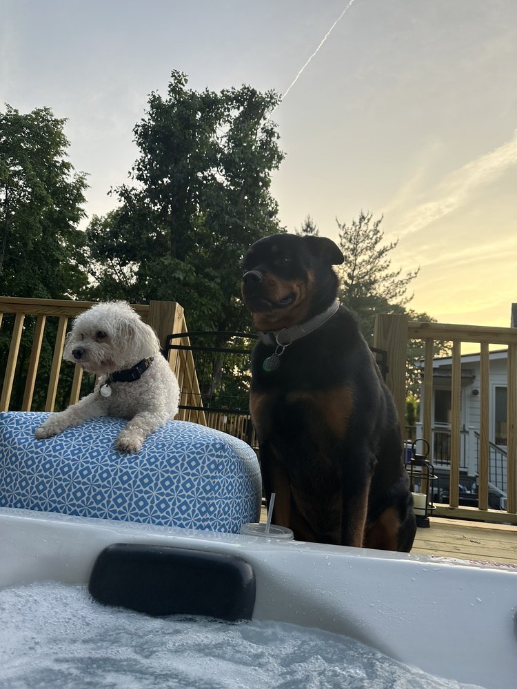 Town & Country Farm & Pet Sitter - equestrian in Joelton, TN