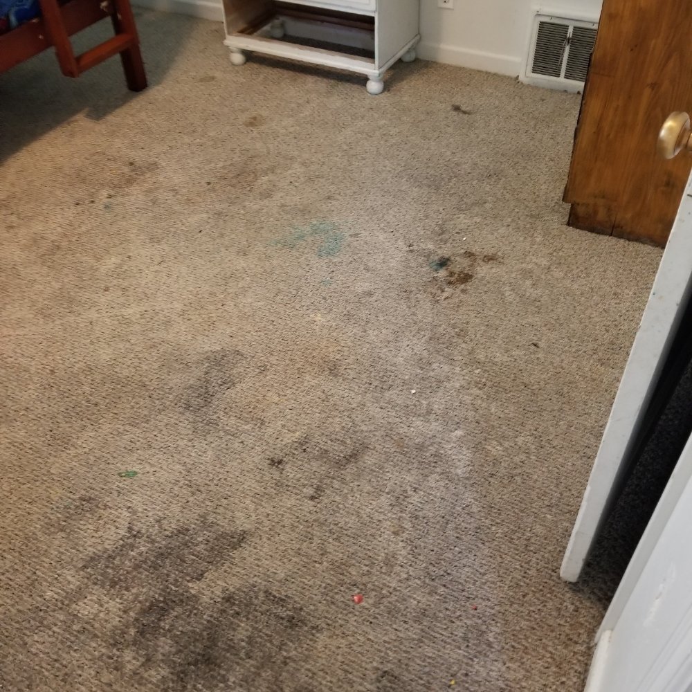 OXI FRESH CARPET CLEANING Billings, Montana Carpet Cleaning Yelp