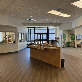 Rogue Credit Union - Downtown Grants Pass - Branch Interior - Banks & Credit Unions Near Me - Grants Pass, Oregon Rogue Credit Union - Downtown Grants Pass - Branch Interior - Banks & Credit Unions Near Me - Grants Pass, Oregon
