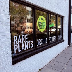 Plant Stella - Exterior