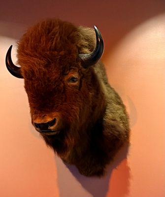 Fort Worth Museum of Science and History by null