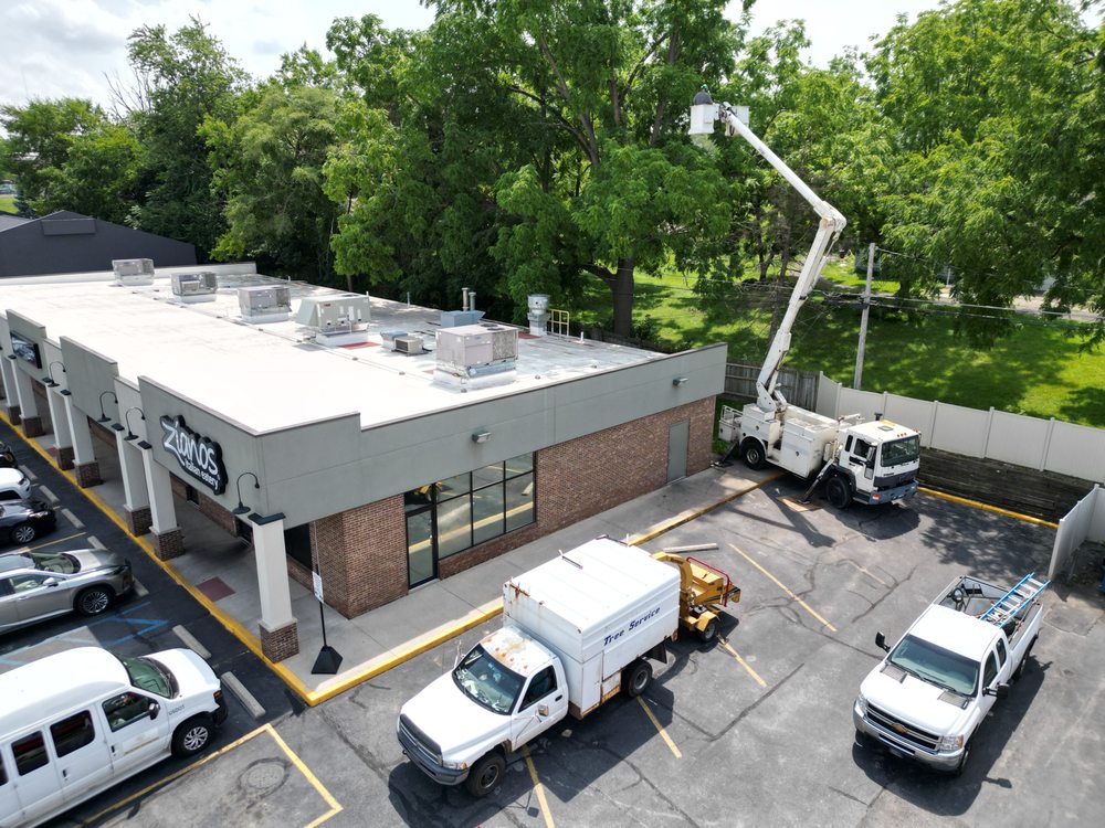 S & A Tree Service of Fort Wayne - tree service in Fort Wayne, IN