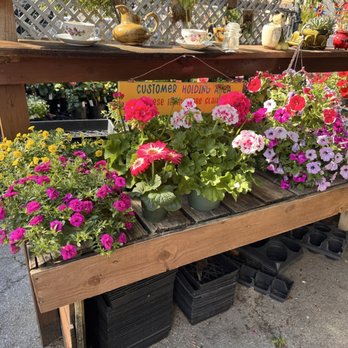 Another Place In Time - Flowers - Nurseries & Gardening Near Me - Houston, Texas
