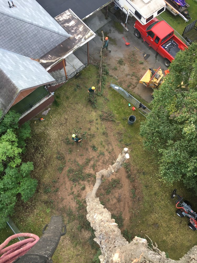 PAUL’S TREE SERVICE 10 Reviews Anchorage, Alaska Tree Services Phone Number Yelp