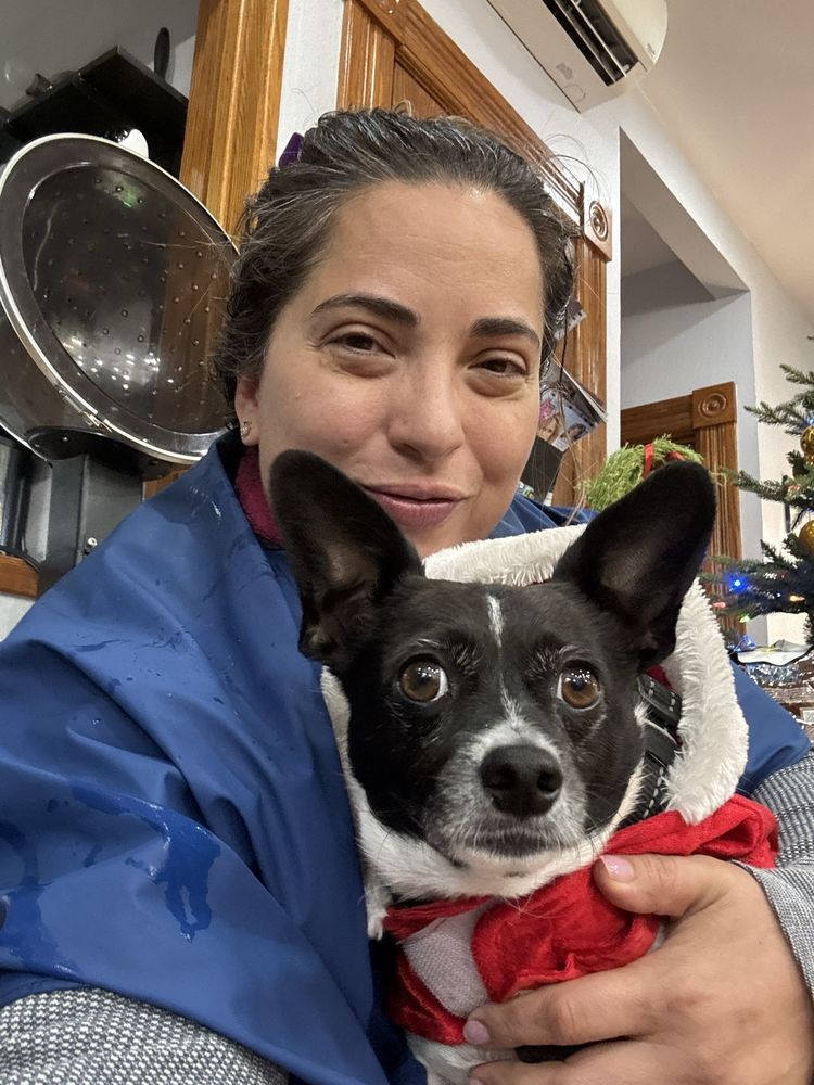 Vanessa Vannasy Logo