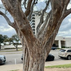 Indian Spring Park - 3/3/25