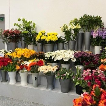 Blumen Sans Oppenheim - Bei uns erhalten Sie frische Blumen und Geschenkideen für jeden Anlass. Jeder Strauß wird liebevoll von unseren  Floristinnen handgebunden. - Florists Near Me - Oppenheim, RP
