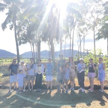 Island and You - Bus Tours Near Me - Honolulu, Hawaii