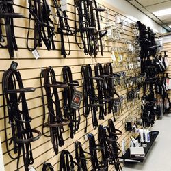 M & M Tack Shop - We have a wall of bridles for both the dressage and hunter/jumper disciplines.