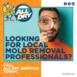 All Dry Services of Cleveland