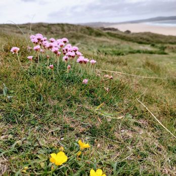 Gwithian Beach - Beaches Near Me - Hayle, CON Gwithian Beach - Beaches Near Me - Hayle, CON