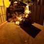 Photo of Pampas Lane