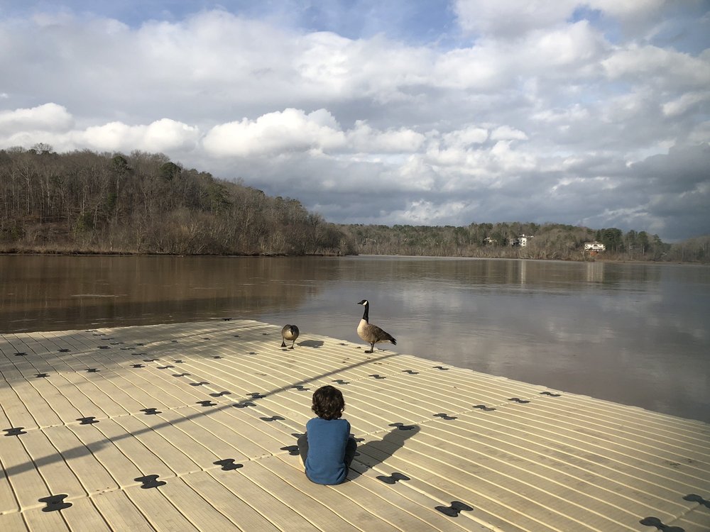 Falls Overlook Park 199 Photos & 80 Reviews Parks 200 Falls Rd, Sandy