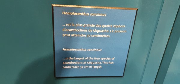 Miguasha National Park by null