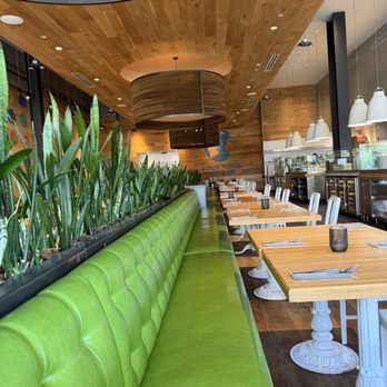 True Food Kitchen - New American Near Me - Palo Alto, California True Food Kitchen - New American Near Me - Palo Alto, California