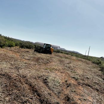 Live Oak Land Management - Clearing extremely dense brush - Tree Services Near Me Live Oak Land Management - Clearing extremely dense brush - Tree Services Near Me