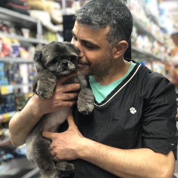 Pet Promise - Post grooming cuddles - Pet Stores Near Me - Brooklyn, New York