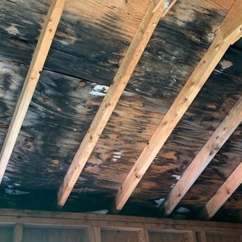 Green Tree Environmental - Damage Restoration Near Me - Syracuse, New York