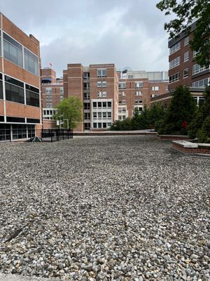 Morristown Medical Center by null