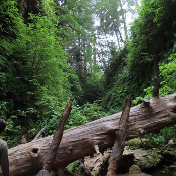 Fern Canyon Trailhead - Parks Near Me