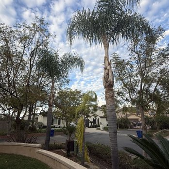 Rana’s Tree Service - Landscaping Near Me Rana’s Tree Service - Landscaping Near Me