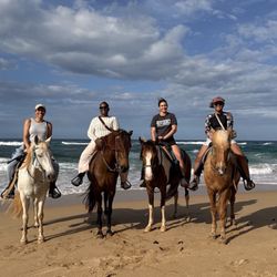 Tropical Trail Rides