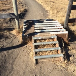 There are a few of these on the trail. There are a few of these on the trail.