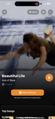 Hamburger Project by null