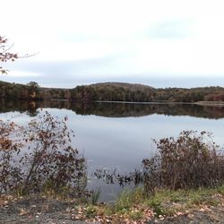 Tuxedo's Tichy Field - 26Oct2018