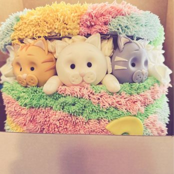Sheryl's Sweet Creation - Pastel Kitty Shag Cake - Cupcakes Near Me