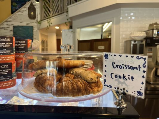 Morning Brew by null