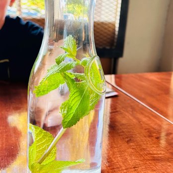 Indian Twist - Mint water - Indian Near Me - Tucson, Arizona Indian Twist - Mint water - Indian Near Me - Tucson, Arizona