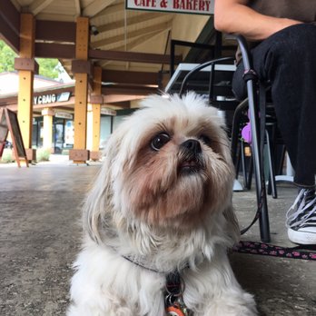 Layered Cakerie - Dog friendly patio - Bakeries Near Me - Montclair, California