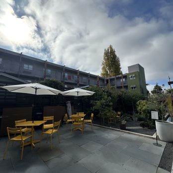 Masterpiece Coffee - Patio - Coffee & Tea Near Me - Berkeley, California