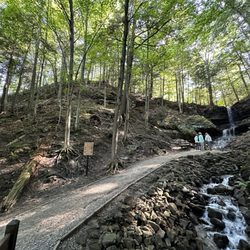 Horseshoe Falls & Gift Shop